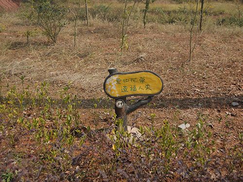 安福园(5)