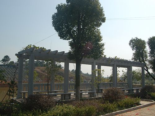 安福园(53)
