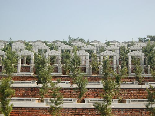 安福园(17)