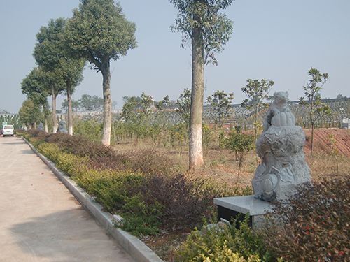 安福园(4)