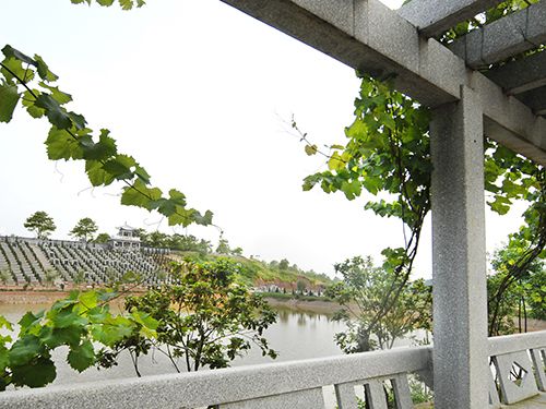 园区一览 (14)